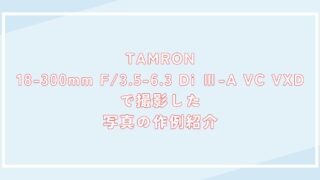 TAMRON 18-300mm F/3.5-6.3 Di Ⅲ-A VC VXDで撮影した写真の作例紹介