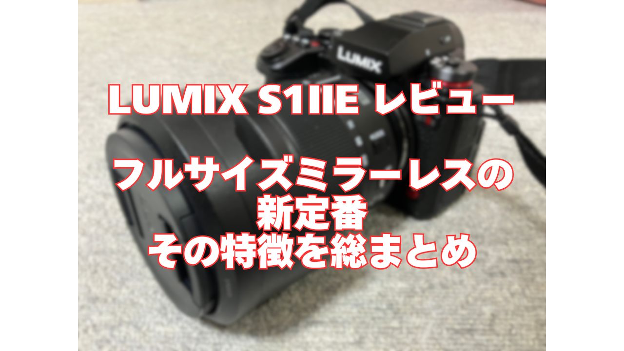 LUMIX S1IIE レビュー｜フルサイズミラーレスの新定番、その特徴を総まとめ